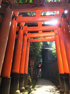 京都　伏見稲荷大社でハイキング（2）